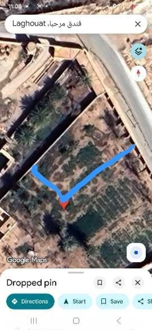 Vente Terrain Laghouat Laghouat