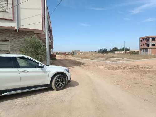 Vente Terrain Tlemcen Zenata