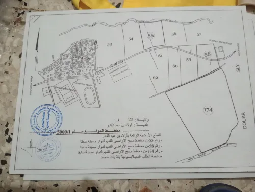 Vente Terrain Chlef Ouled benabdelkader