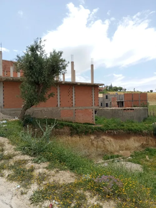 Vente Villa Tlemcen Chetouane