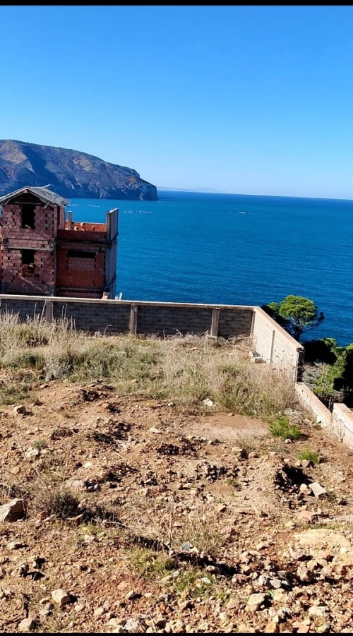 Vente terrain wilaya de TLEMCEN 