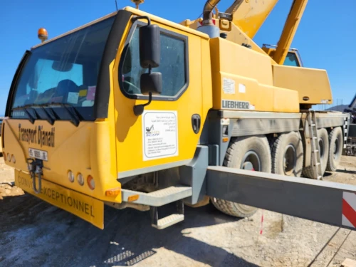 LOCATION GRUE 30 TONNES 