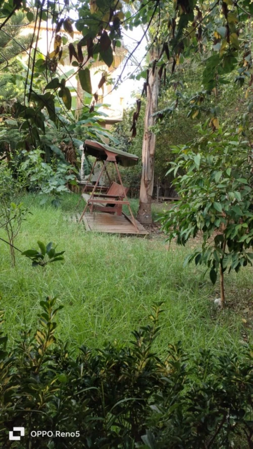 Vente Terrain Alger Birkhadem