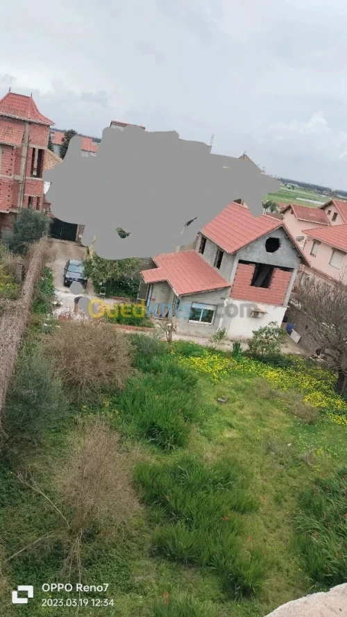 Vente Villa Alger Hraoua