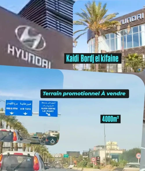 Vente Terrain Alger Bab ezzouar