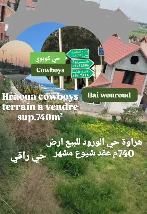 Vente Terrain Alger Hraoua