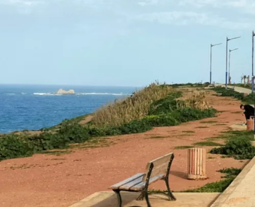Vente Villa Alger El marsa