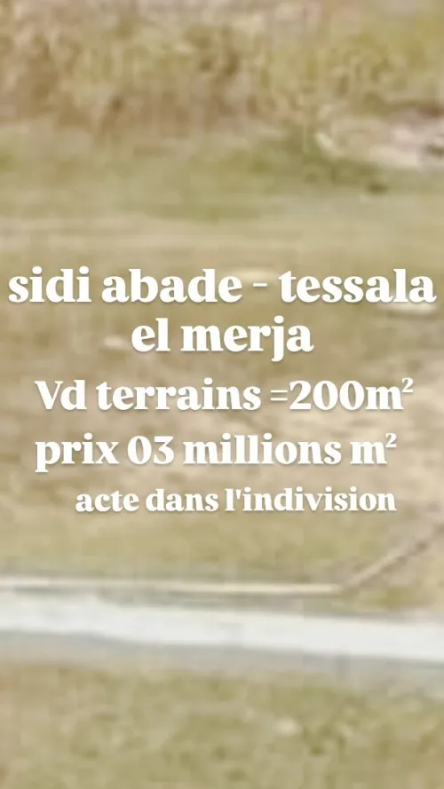 Vente Terrain Alger Tessala el merdja