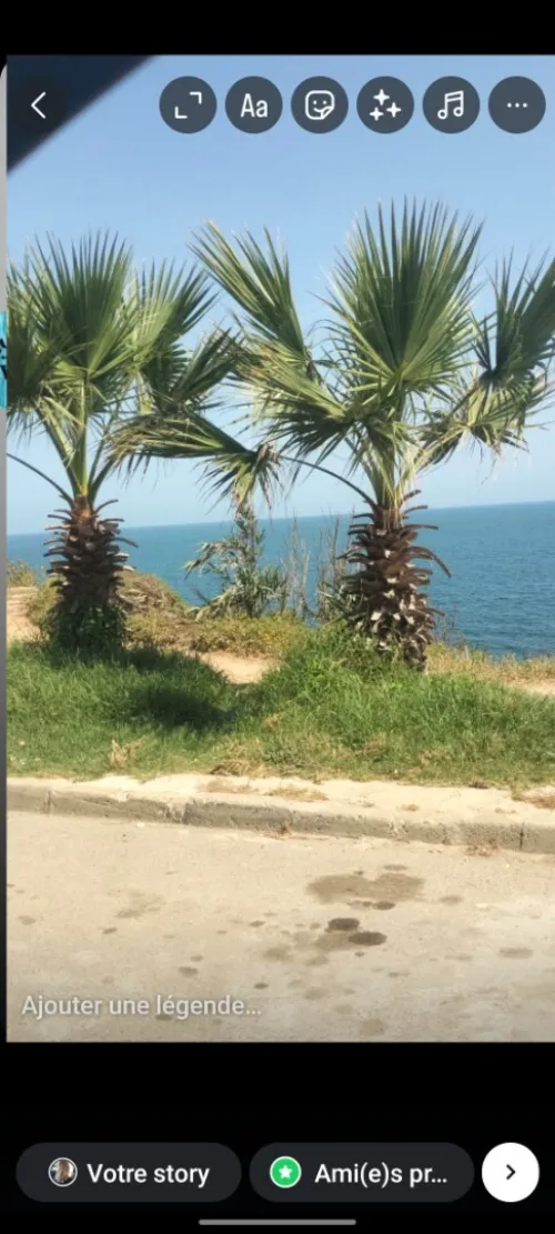Vente Villa Alger Bordj el bahri