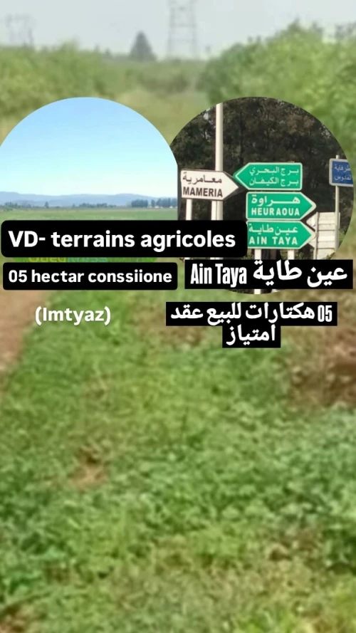 Vente Terrain Agricole Alger Ain taya