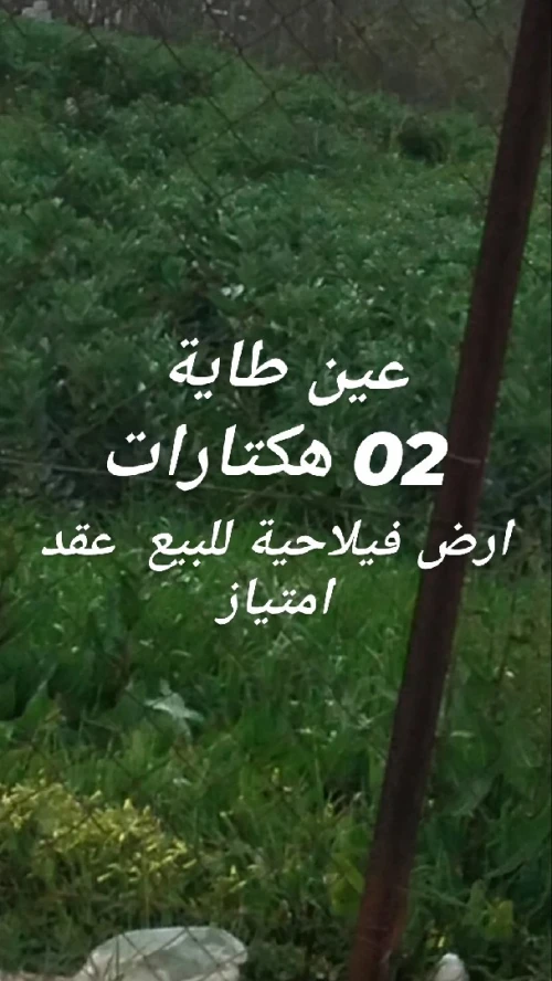 Vente Terrain Agricole Alger Ain taya
