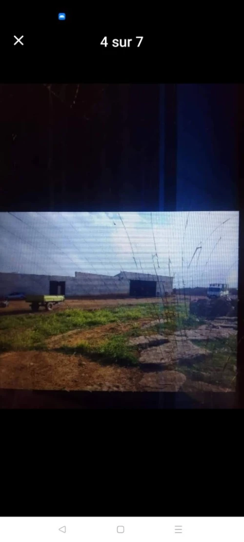 Vente Terrain Agricole Tiaret Sougueur