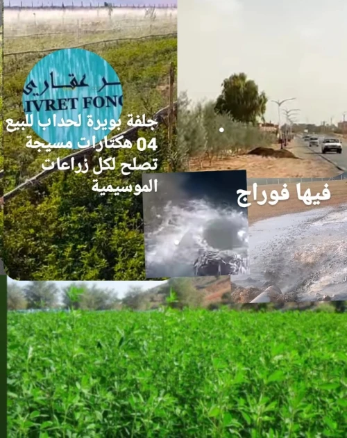 Vente Terrain Agricole Djelfa Bouira lahdab