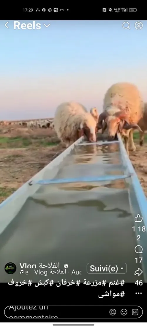 Vente Terrain Agricole Djelfa Bouira lahdab