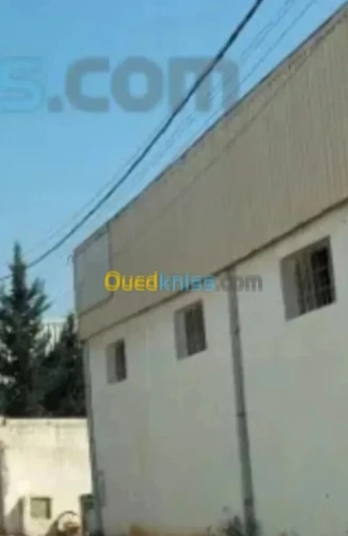 Location Hangar - Usine Alger Bordj el bahri