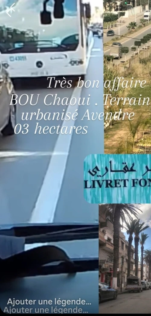 Vente Terrain Alger Cheraga