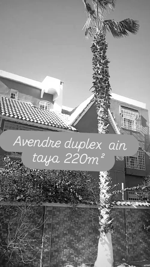 Vente Duplex Alger Ain taya