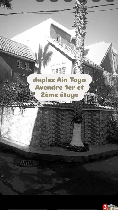 Vente Duplex Alger Ain taya