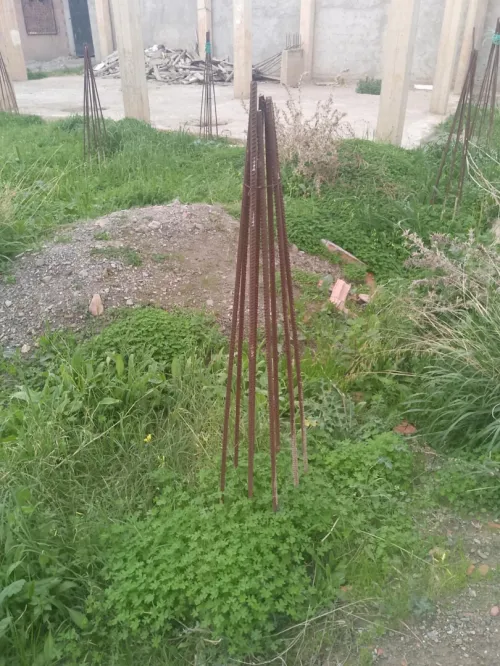 Vente Terrain Blida Ouled selama