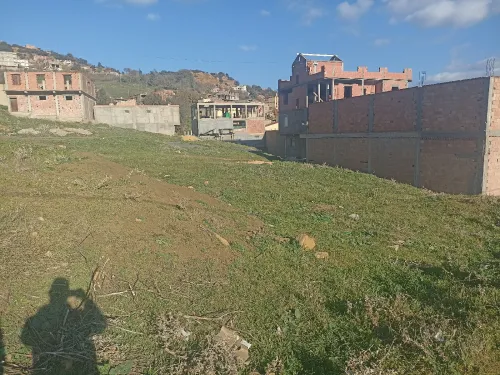 Vente Terrain Médéa Draa essamar
