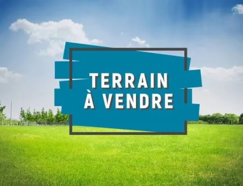 Vente Terrain Ghardaïa Metlilli
