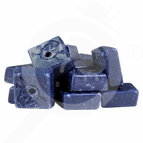 RATICIDE RODEX SOURIS RAT
