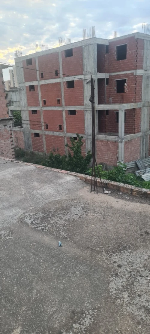 Location Villa Alger Les eucalyptus