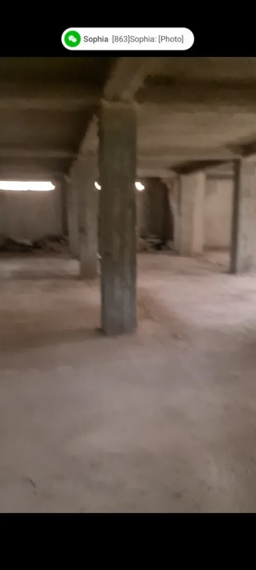 Location Villa Alger Les eucalyptus
