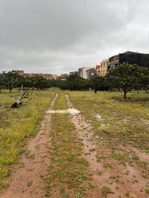 Vente Terrain Tipaza Kolea