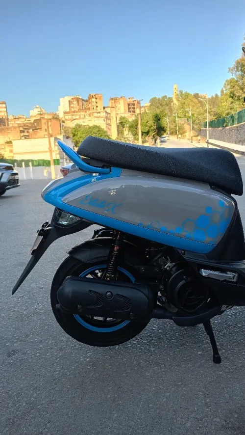 Vms Estate x 2025