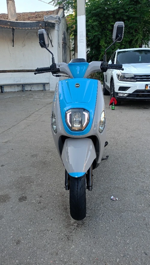Vms Estate x 2025