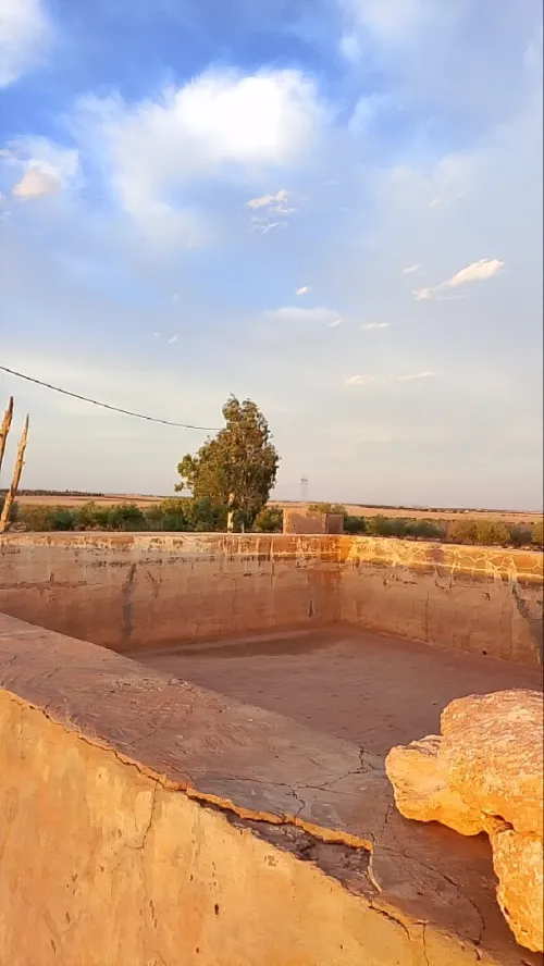 Vente Terrain Agricole Djelfa Ain oussara