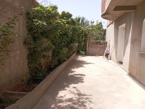 Vente Appartement Boumerdès El kharrouba