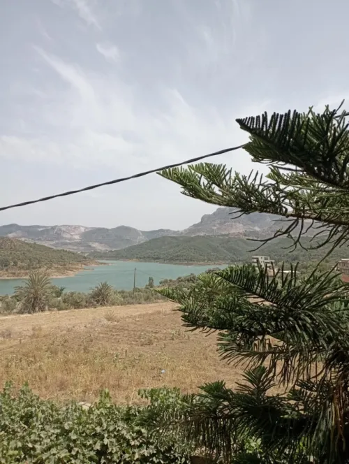 Vente Villa Boumerdès El kharrouba