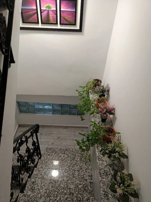 Location Appartement Studio Oran Oran