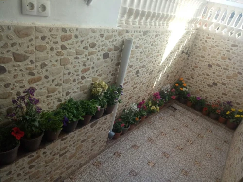 Location Appartement Studio Oran Oran