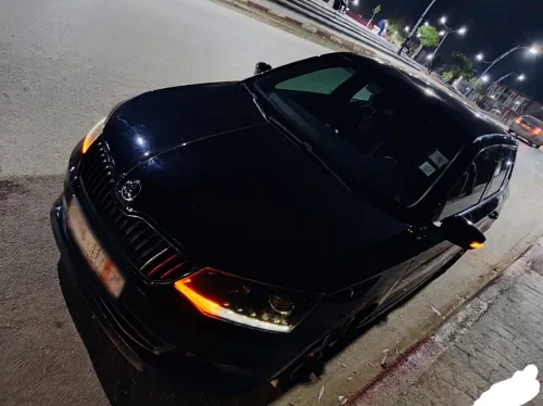 Skoda Fabia 2017 Monte Carlo