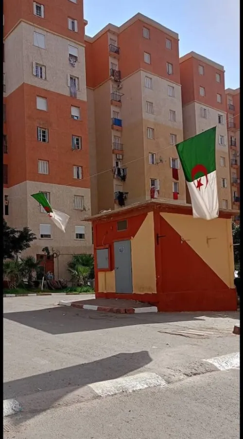 Vente Local Alger Bordj el bahri