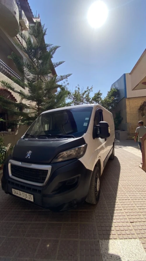 Peugeot Boxer caniche 2015