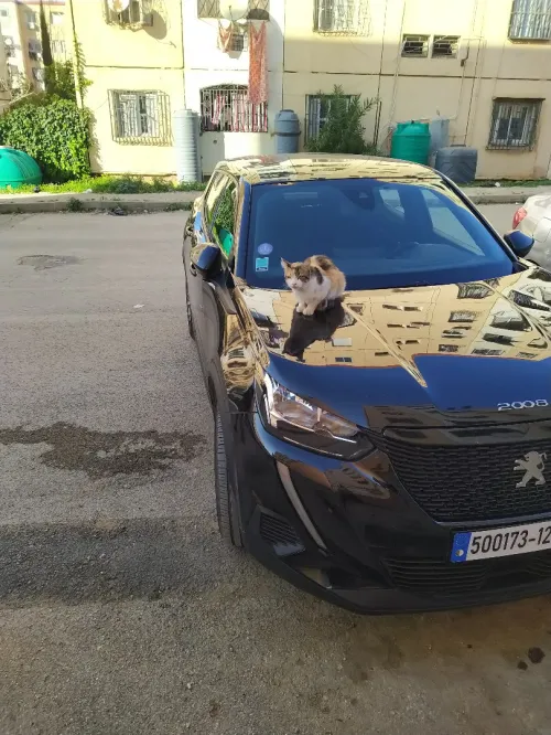 Peugeot 2008 2023 