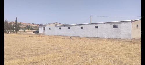Vente Terrain Agricole Sidi bel abbes Sfissef