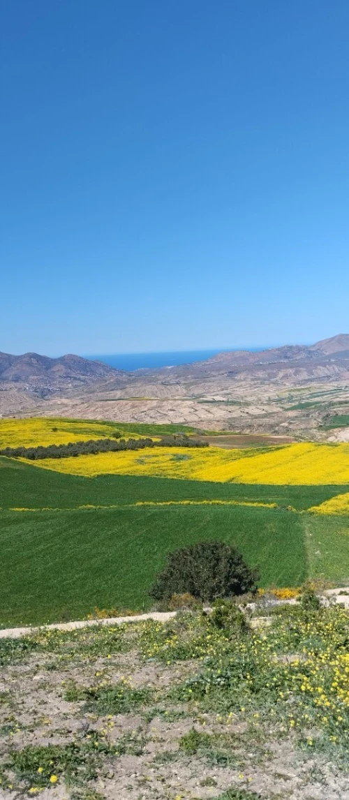 Vente Villa Tlemcen Bab el assa