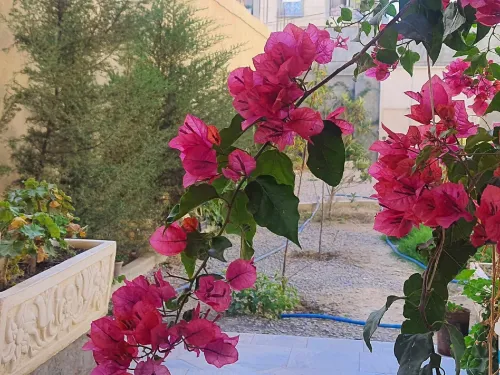 Vente Villa Bordj Bou Arreridj El achir