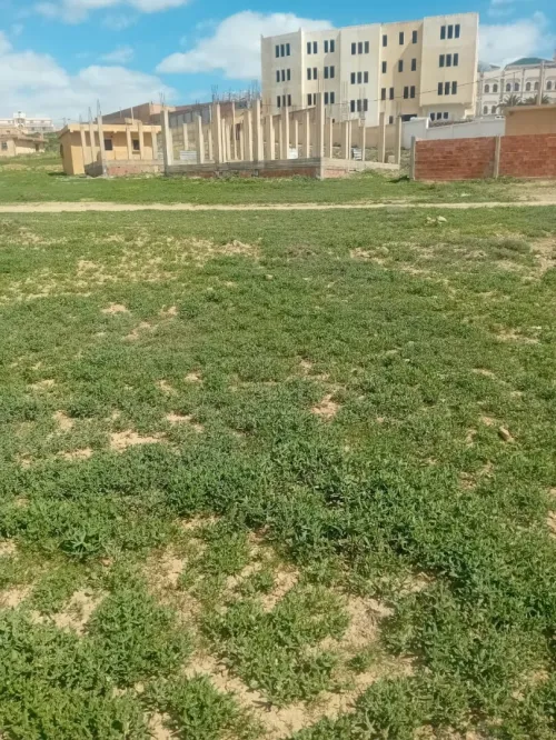 Vente Terrain Bouira Hadjera zerga
