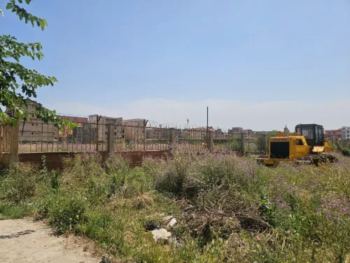 Vente Terrain Alger Bordj el kiffan