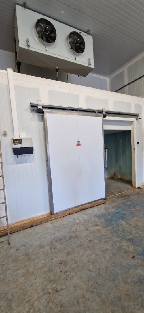 Location Hangar - Usine Tipaza Kolea