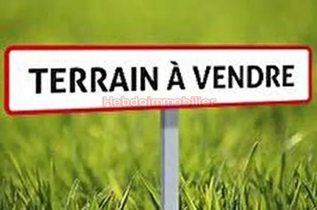 Vente Terrain Alger Birtouta