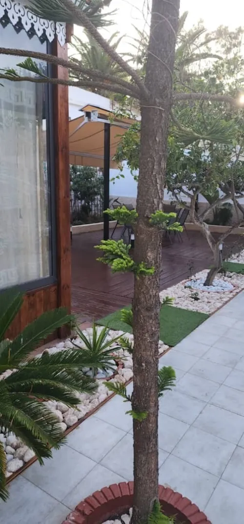 Location Villa Oran Ain el turck