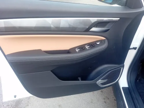 Geely Pro 2025 Tout option