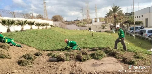 تهيئة المساحات الخضراء